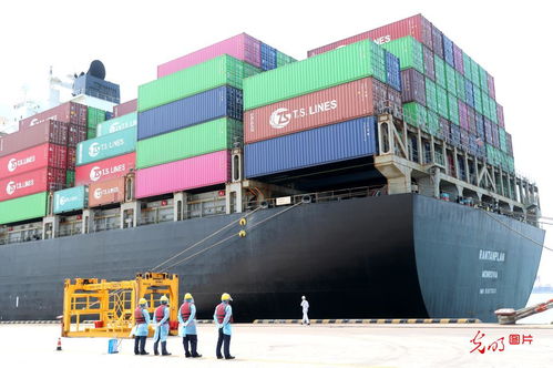 5月份山東外貿進出口創歷史新高，貨物貿易表現強勁