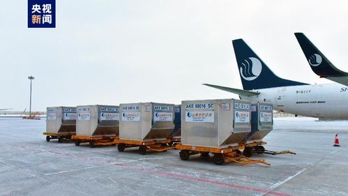 新疆首條定期國際貨運航線正式通航，年貨運吞吐量預計達3000噸