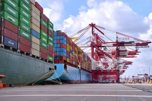 吞吐量之外 山東港口以“新質(zhì)服務(wù)”開辟發(fā)展新路